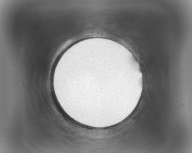 X0000066020008200603312101