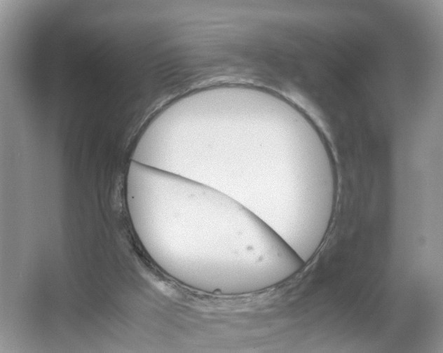 X0000066020009200603312101