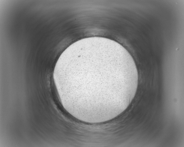 X0000066020010200603312101