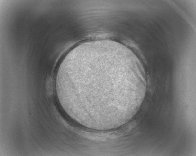 X0000066020012200603312101