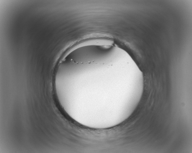 X0000066020015200603312101