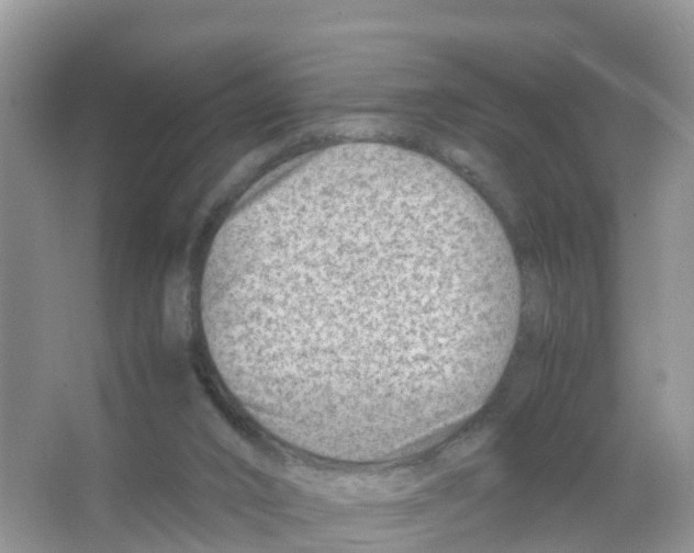 X0000066020016200603312101