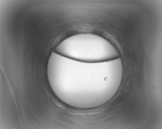 X0000066020017200603312101