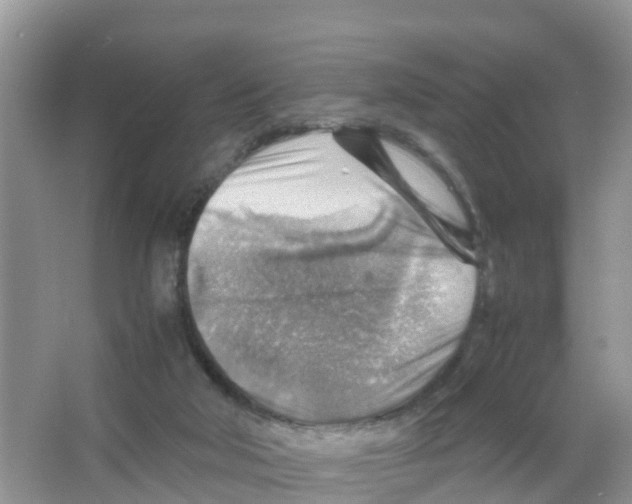 X0000066020018200603312101