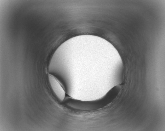 X0000066020021200603312101