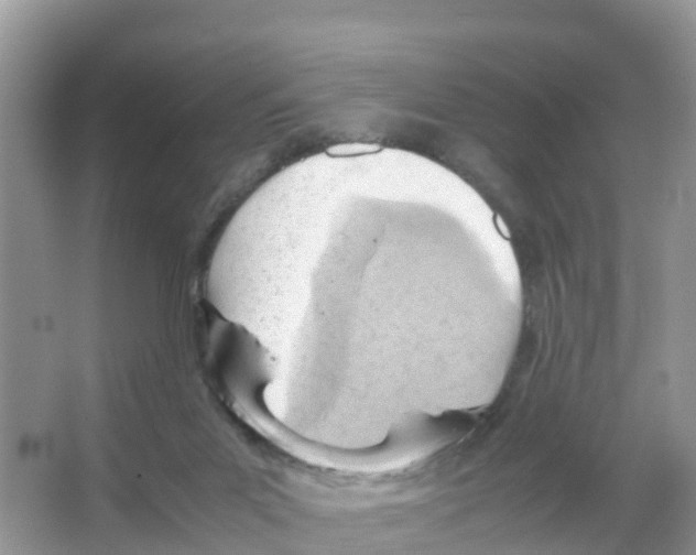 X0000066020023200603312101