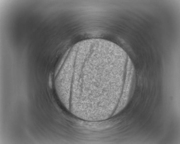 X0000066020026200603312101