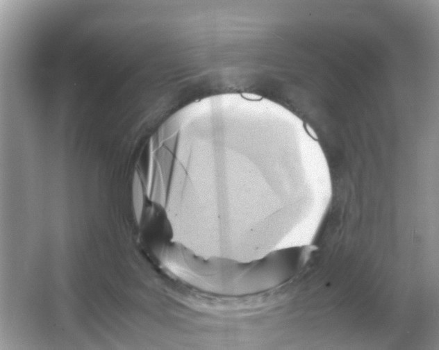 X0000066020027200603312100