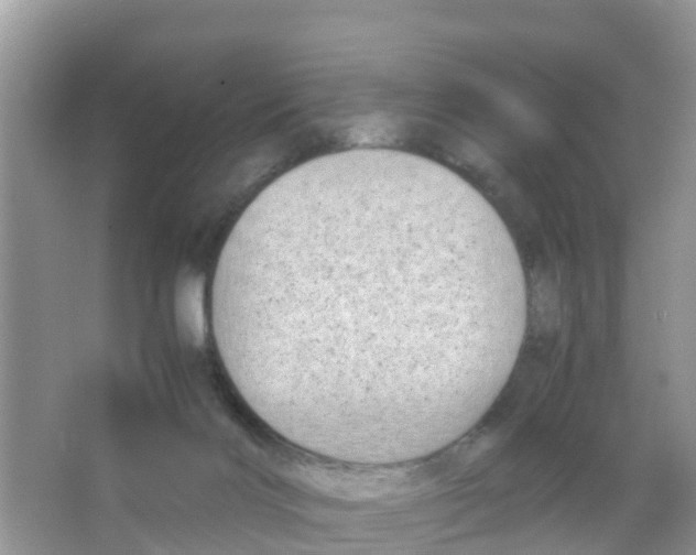 X0000066020028200603312100