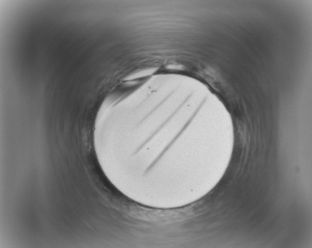 X0000066020031200603312100