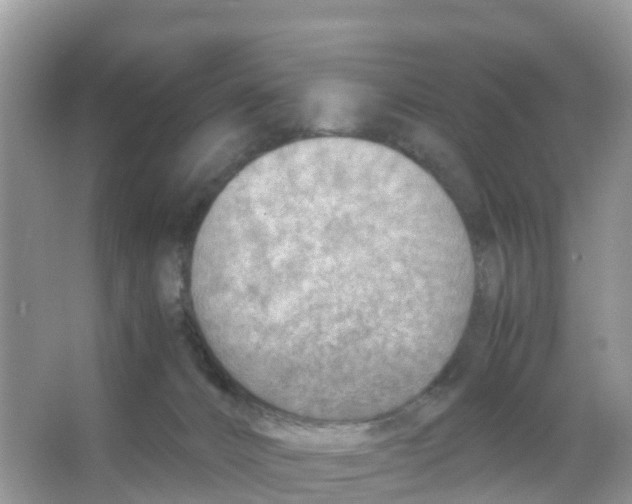 X0000066020032200603312100