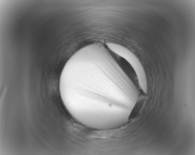 X0000066020033200603312100