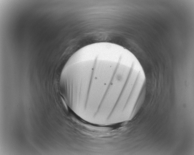 X0000066020035200603312100