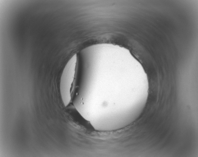 X0000066020037200603312100