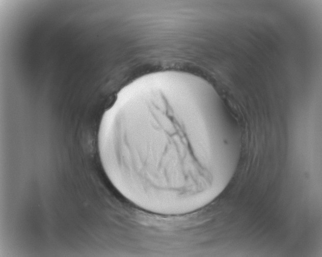 X0000066020039200603312100