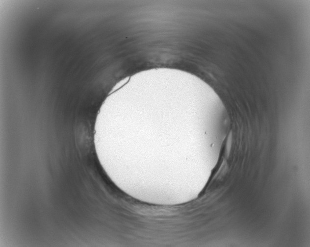 X0000066020040200603312100