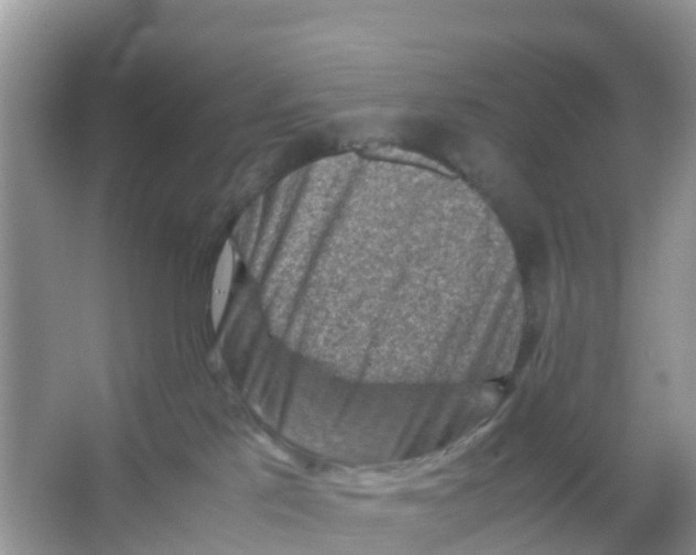 X0000066020041200603312100