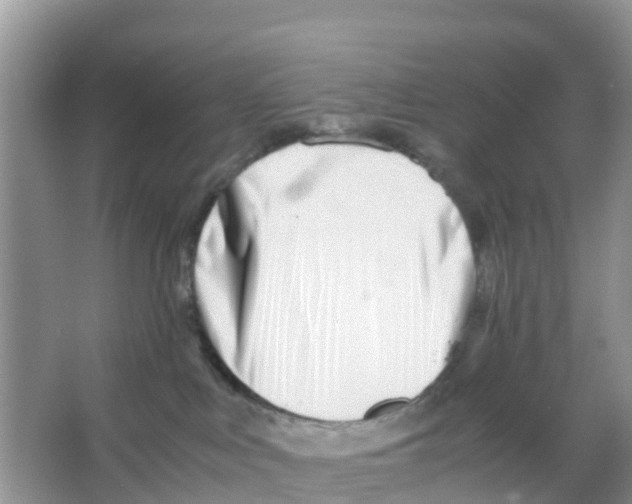 X0000066020043200603312100