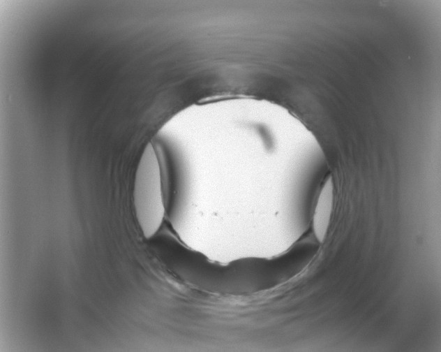 X0000066020045200603312100