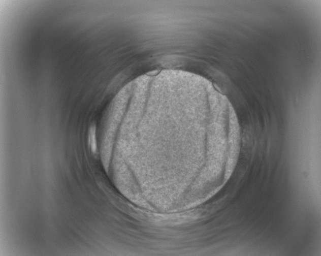 X0000066020046200603312100