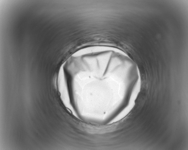 X0000066020047200603312100