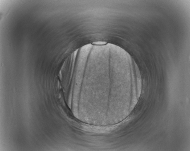 X0000066020048200603312100