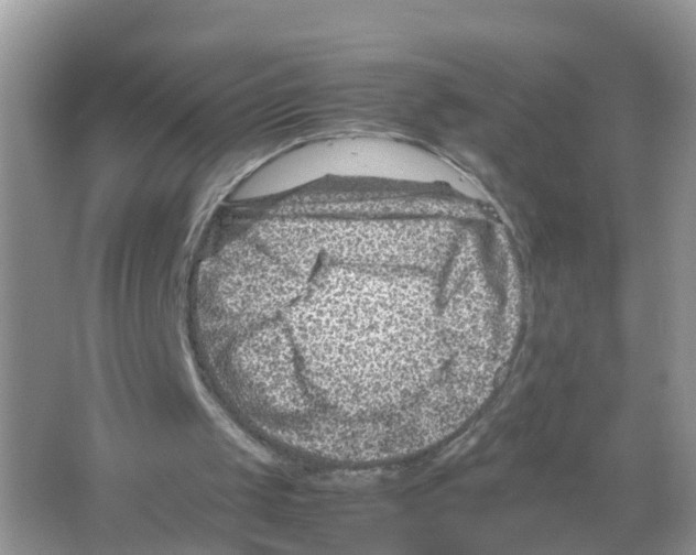 X0000066020049200603312059