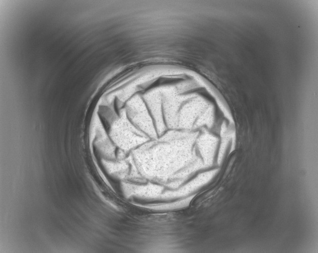 X0000066020050200603312059