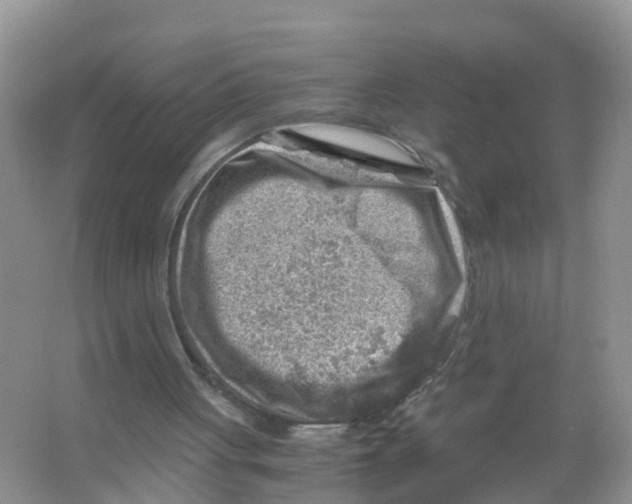 X0000066020051200603312059