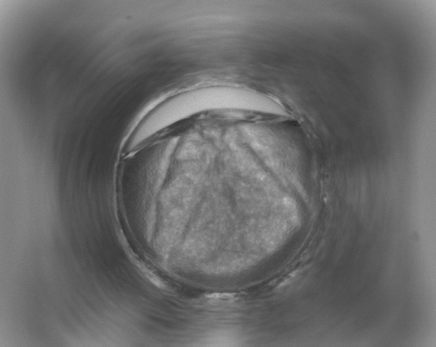 X0000066020052200603312059