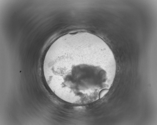 X0000066020053200603312059