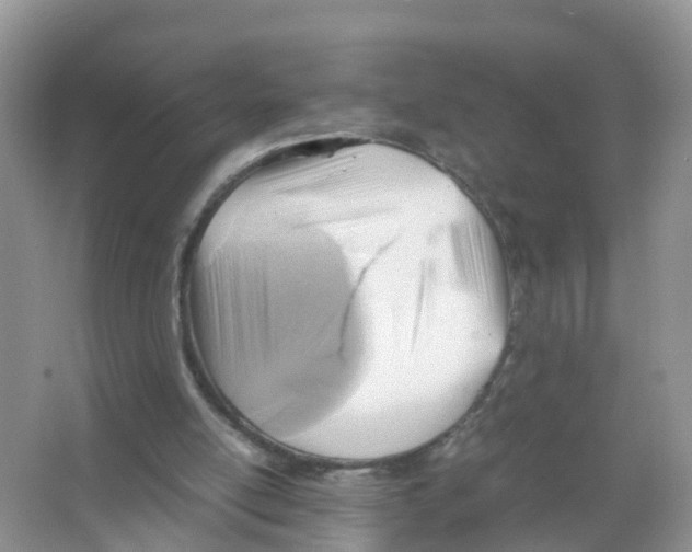 X0000066020054200603312059