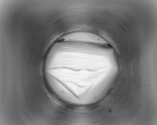 X0000066020058200603312059