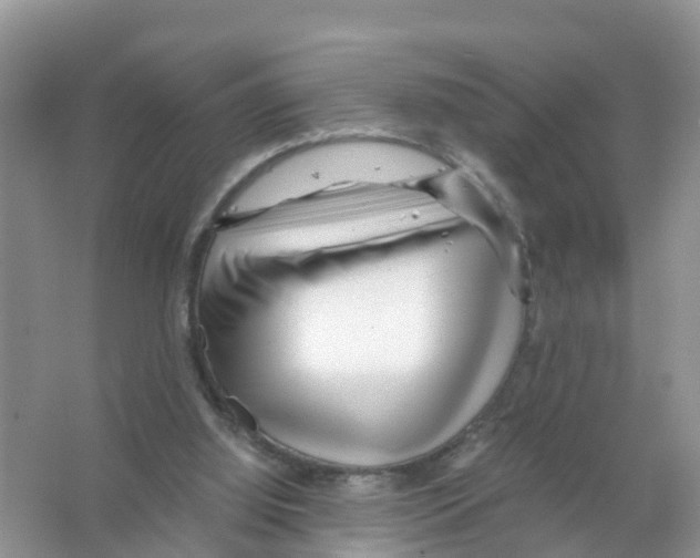 X0000066020060200603312100