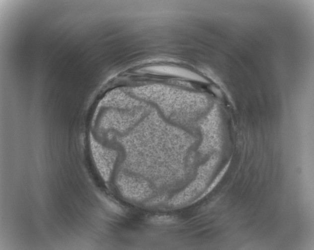 X0000066020063200603312100