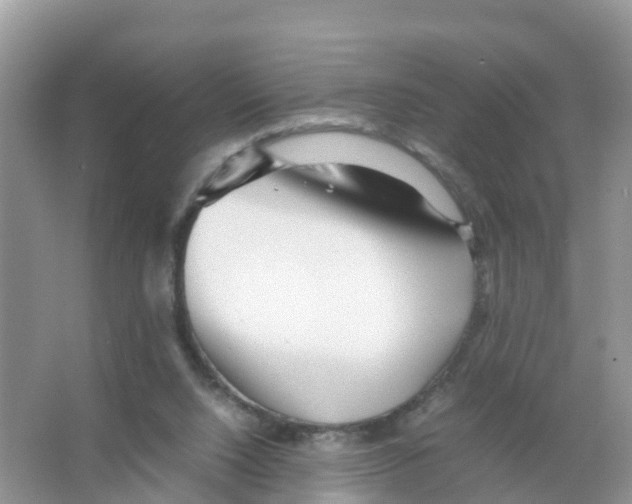 X0000066020064200603312100