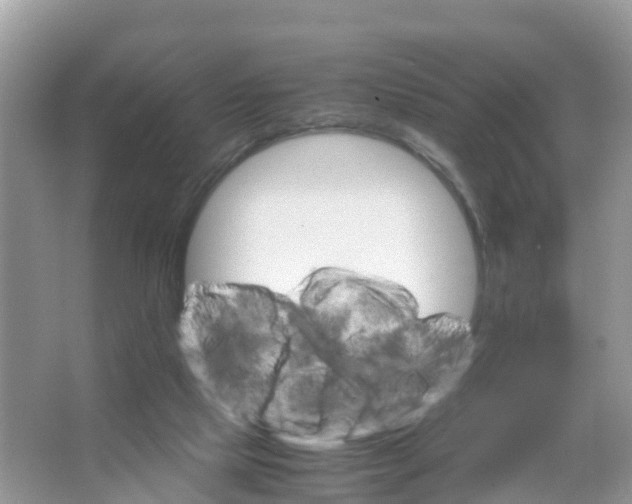 X0000066020065200603312100