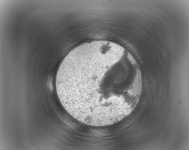 X0000066020069200603312100