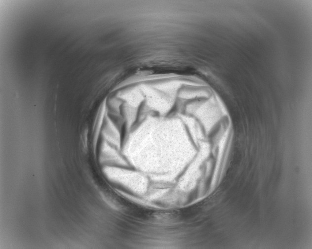 X0000066020070200603312100