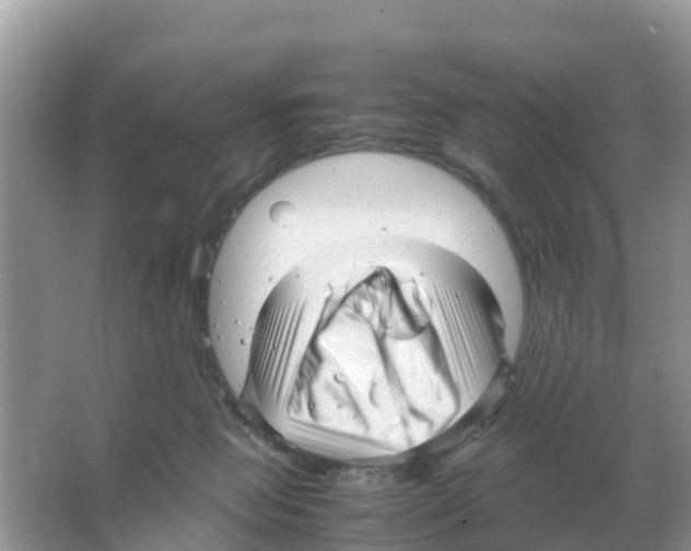 X0000066020077200603312100