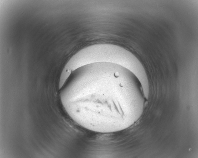 X0000066020078200603312100