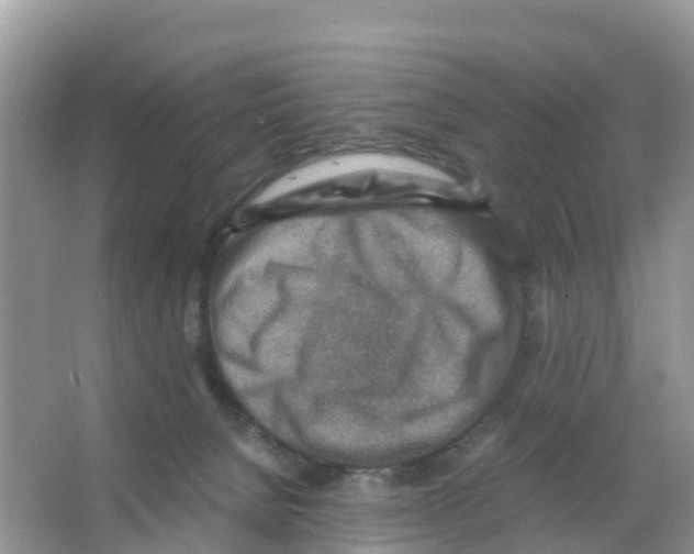 X0000066020080200603312100