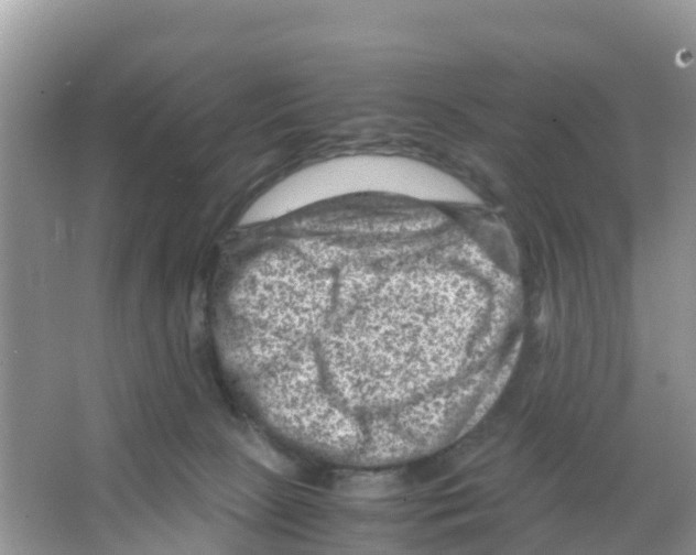 X0000066020081200603312100