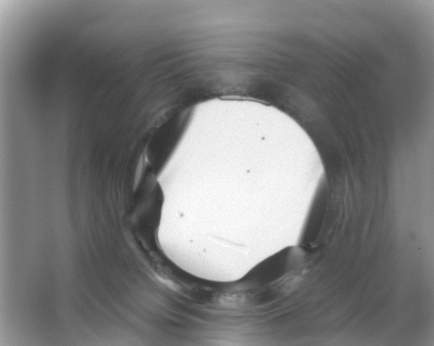 X0000066020084200603312100