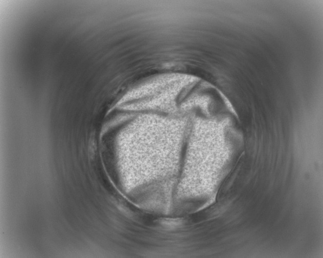 X0000066020085200603312100