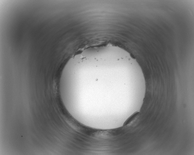 X0000066020086200603312100