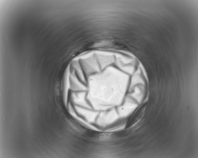 X0000066020090200603312100