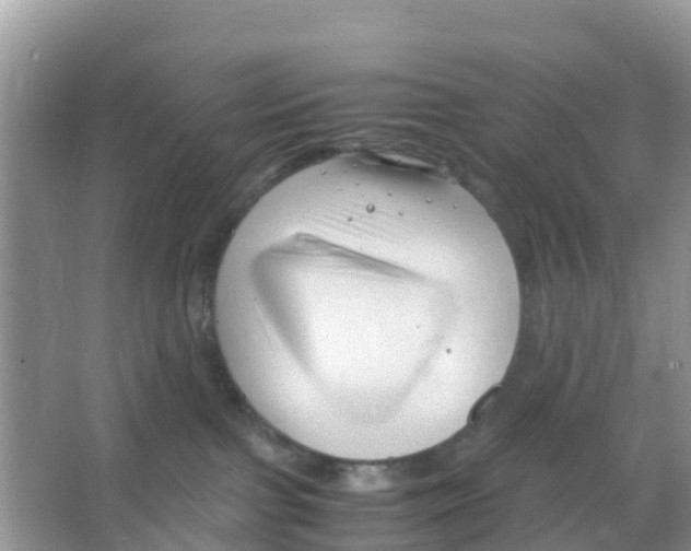 X0000066020091200603312100