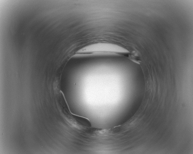 X0000066020092200603312100