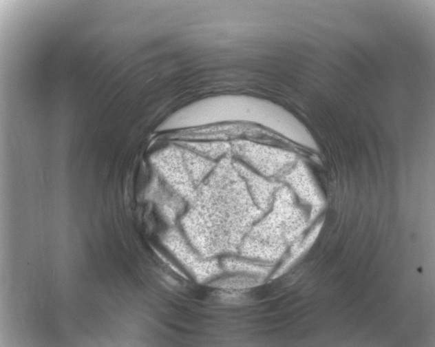 X0000066020093200603312100